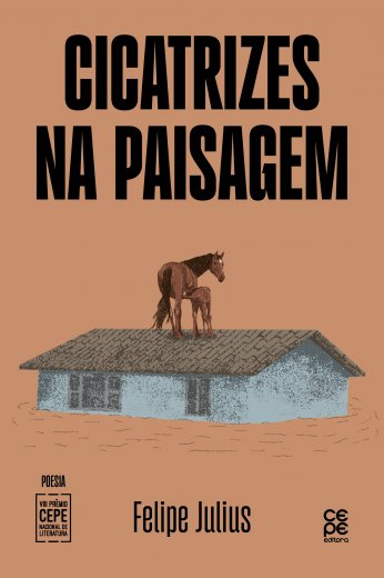 CICATRIZES NA PAISAGEM CICATRIZES NA PAISAGEM